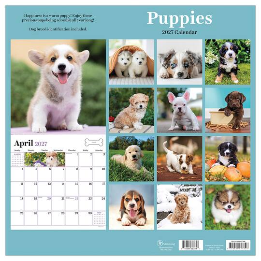 2027 Puppies Wall Calendar